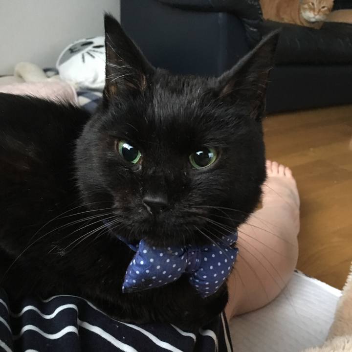 71b15d2f ff7f 4054 87bf cf039a98f40b 1552829580947