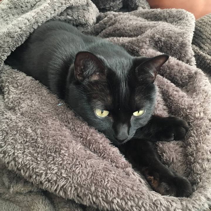 71b17cb6 3433 4a73 bd23 4d53c2d469e6 1517036486592