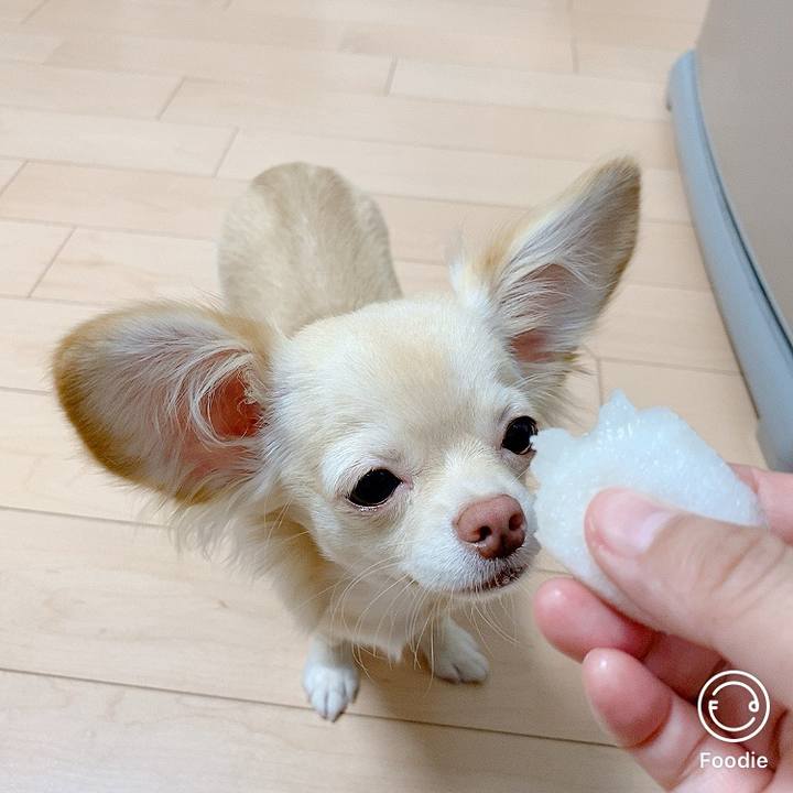 71b18238 bfc6 44f2 a696 d432b4e988db 1601882382721