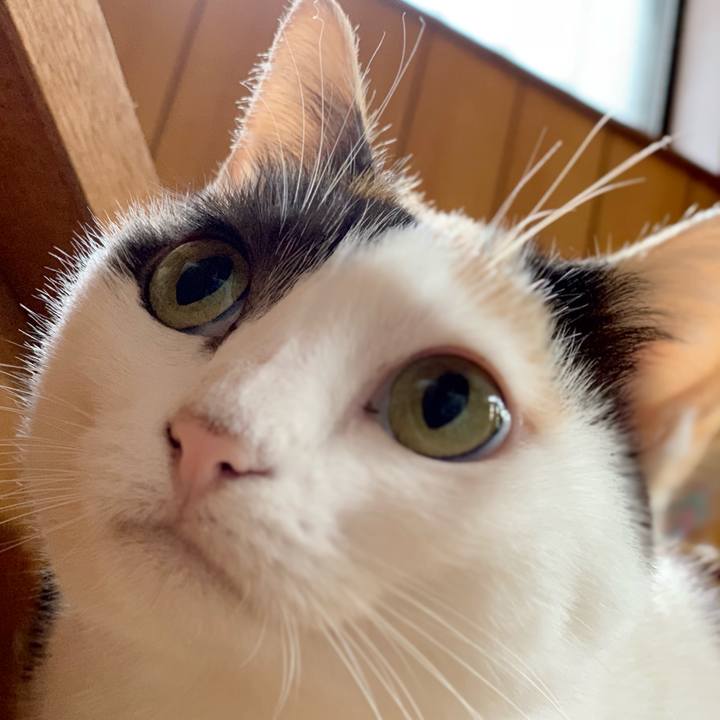 71b18993 234c 418c b894 fd88d6a231ea 1539656227581