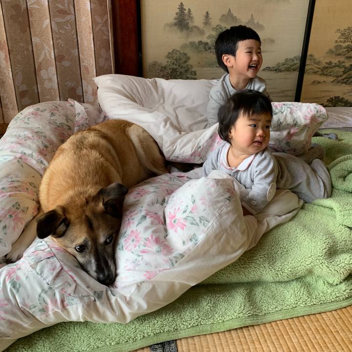 71b19b26 451a 4300 b702 682d8b584363 1547895779499