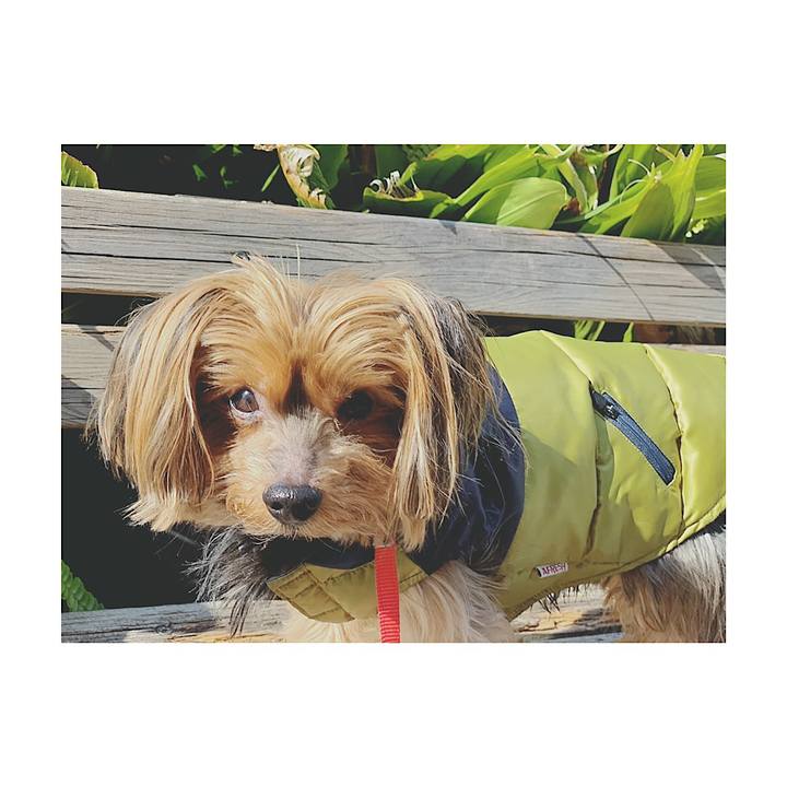 71b1d12d 8c86 49f6 b7b8 f0faf7652eac 1550821995538