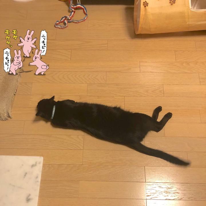 71b2051f db4d 4668 8668 55143f976fd3 1567868574414