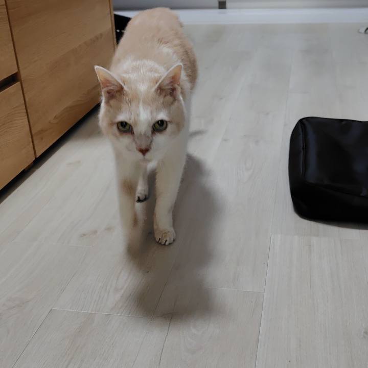 71b207bc dc99 43b8 9553 c019d677b3be 1738230400090