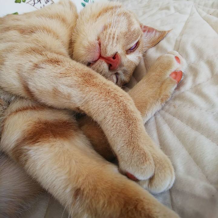 71b22e0a 6a72 4d65 833d f0b6a962c85e 1558155168497