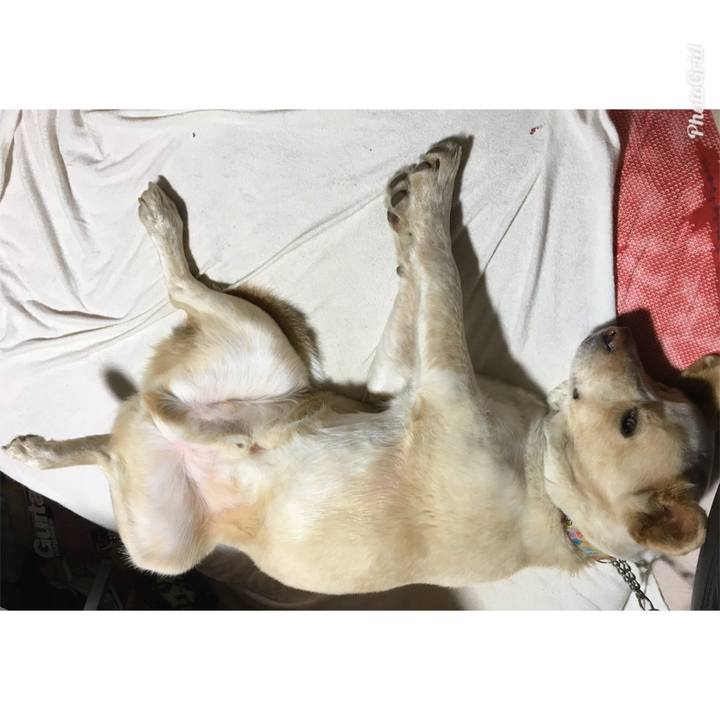 71b232dd 27cf 44fc b0e8 53c549150f98 1522238359861