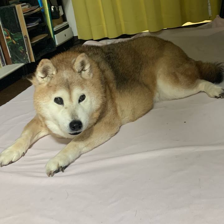 71b23bec a04f 494c b636 b87b96ea8be8 1679740635823