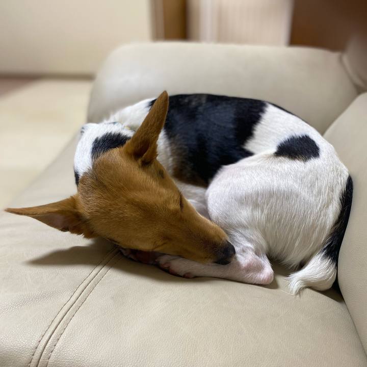 71b27142 d14d 4bfb aa4b cf08c7bc079f 1774058596305