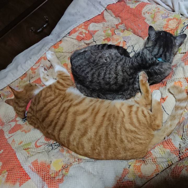 71b27824 4c80 48ea 9a43 493e50c36223 1572099725421