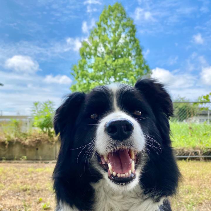 71b28426 6c6f 4a27 8de5 3ad257380798 1590888037416