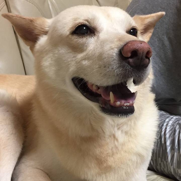 71b2a96a cb80 4722 89af 07a64fc9c8ab 1507682842445