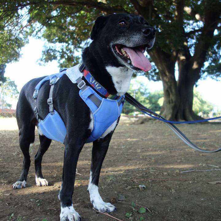 71b2d0eb dbb3 4fad 82fc f8ba9b83b173 1691106168935