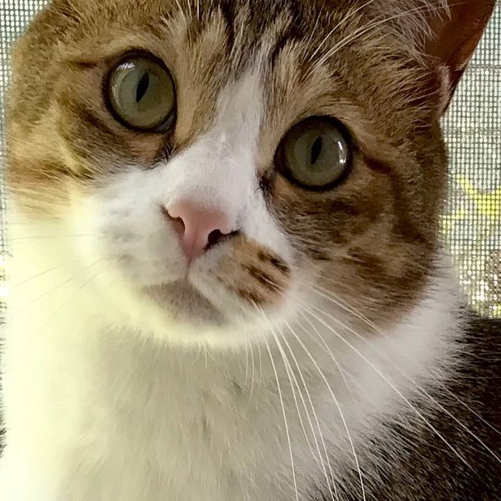 71b2f4fc 993c 4800 83df 994bc26058f9 1528347071978