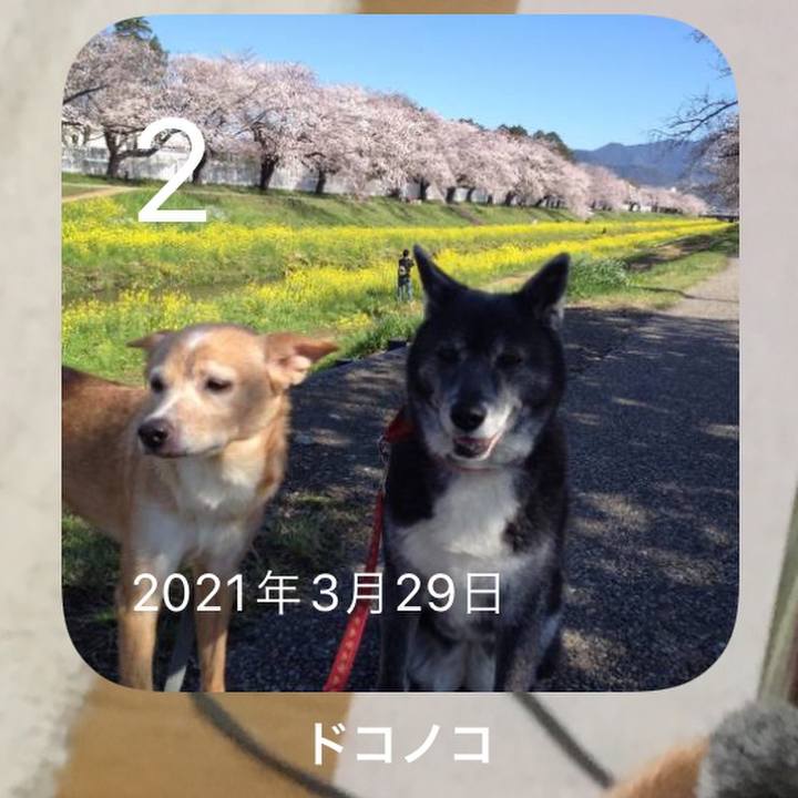 71b31995 2e21 4d1f a021 78671a9f83f7 1648856339847