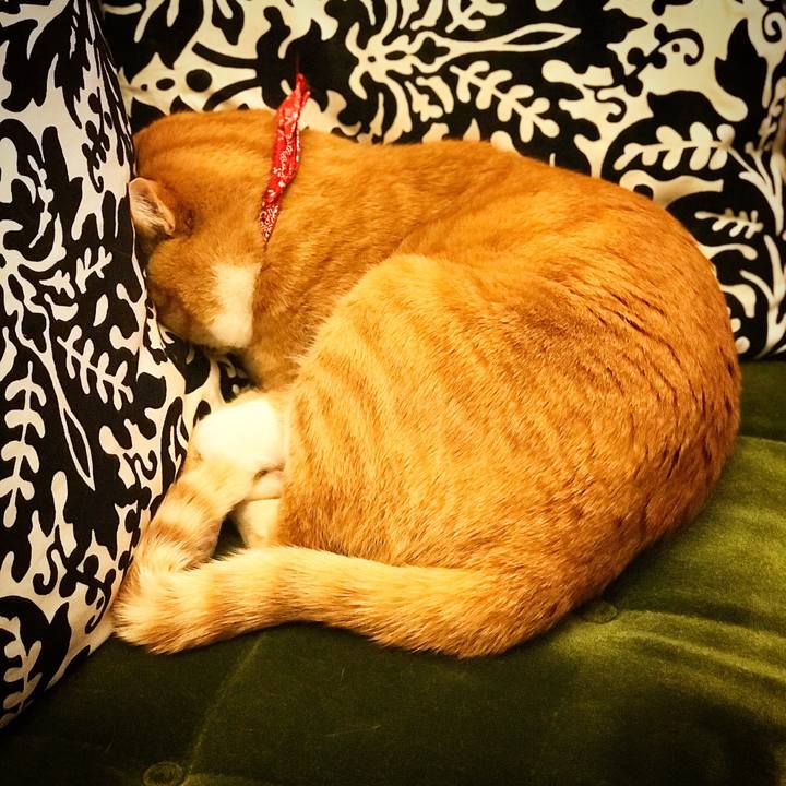 71b3735b 17be 48d1 8c41 d9eb6beb97cd 1554631960947