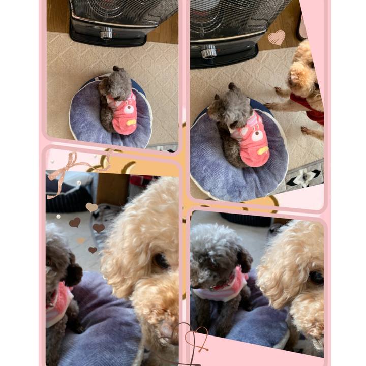 71b381af 9a08 4e7d a857 69858edd54ea 1613003464943