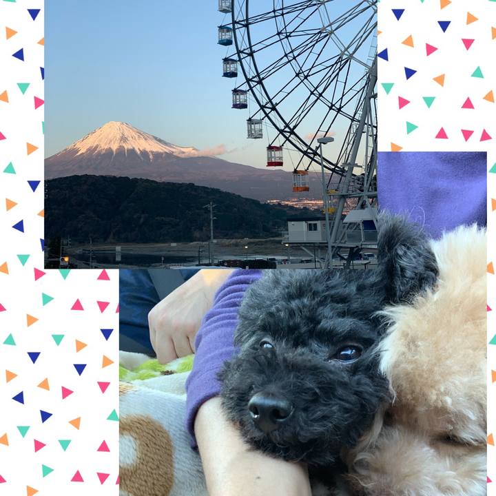 71b39ab3 8d3b 40d7 b7fa 84f6ad90a704 1578036781354