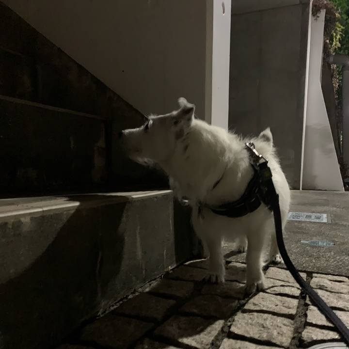 71b39ac9 e2f3 4394 9209 1ca5ec78122f 1714999726749