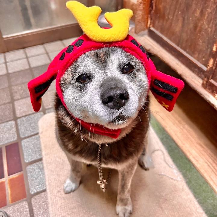 71b3cdc3 4c9d 4dd6 9c27 b32af6ce904c 1746535007831