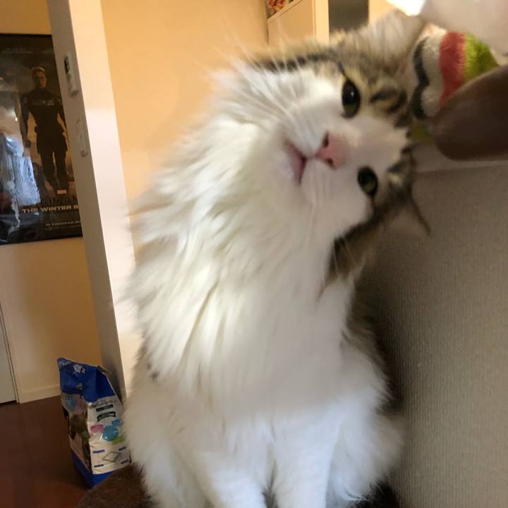 71b40e68 40e7 426e 8aff 5ecf4a466812 1578303366059