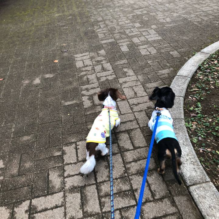 71b4374b 305a 40c9 8c74 ca43dbfe7a8a 1565771361903