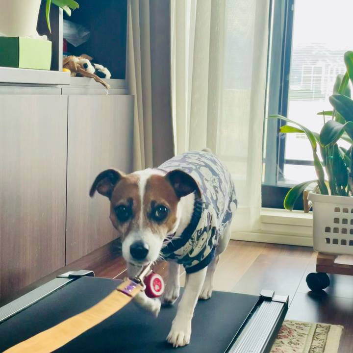 71b44bad 1c5a 4e16 90ef 970ac7b0c89c 1738822036465