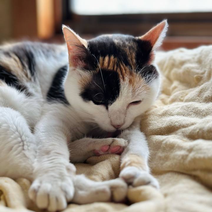 71b48246 9a4f 4a3d a1f4 5b5dc9f72b62 1724979539453