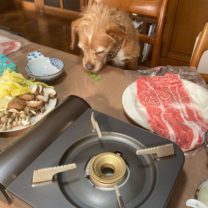 71b4f74a 648f 4f32 976e 404660d2b201 1674038331196