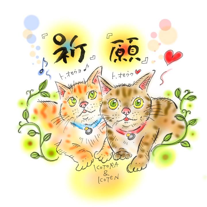 71b50543 7e22 43fc a97c 02e768ebecb3 1583941577275