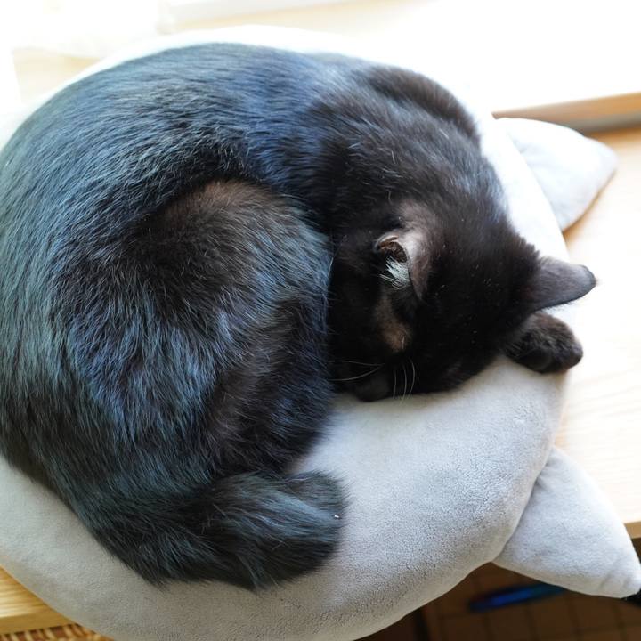 71b50e6a f6dd 44b8 a3fe ea75d7aae4af 1572164346030