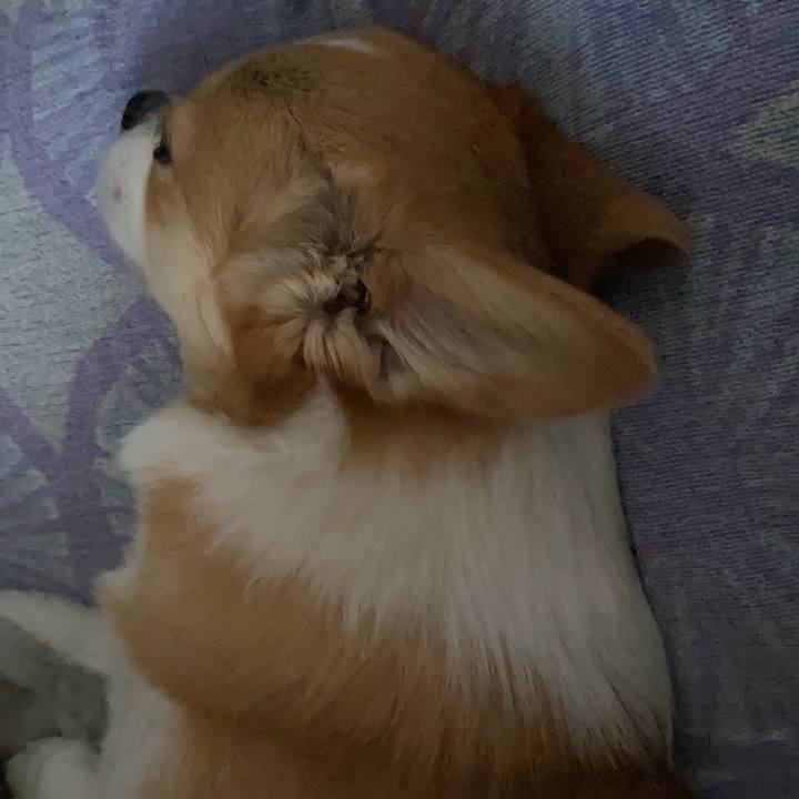 71b52386 ac91 467a b427 1ba5fc2f7c27 1645109237005