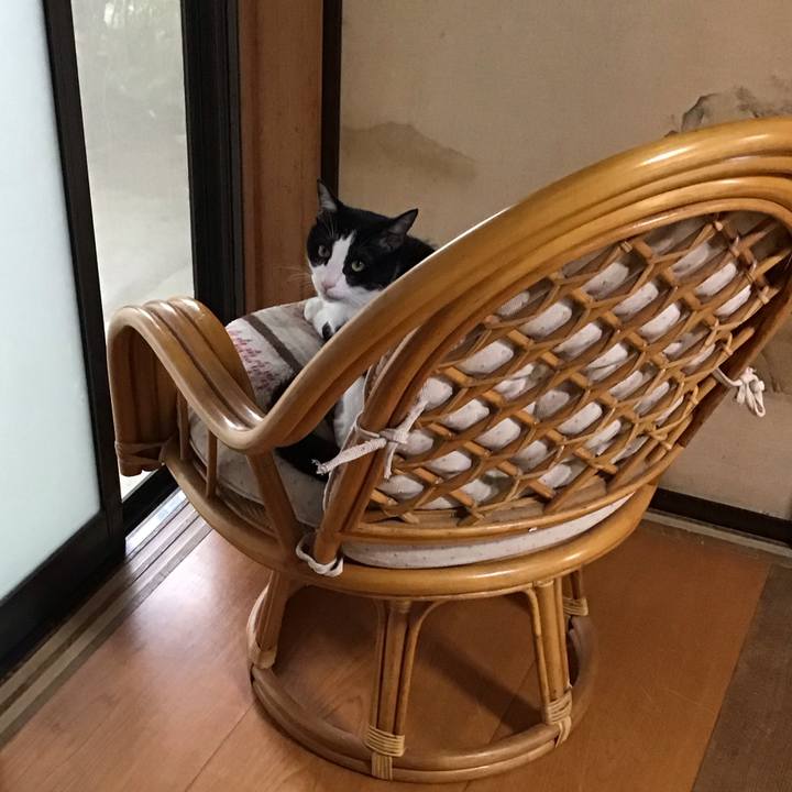 71b55f23 f535 4e3d 9ab2 5531261fd478 1751541245475