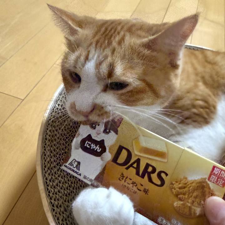 71b5702a bb9b 4d43 aac1 03794b84fe2f 1761488984304