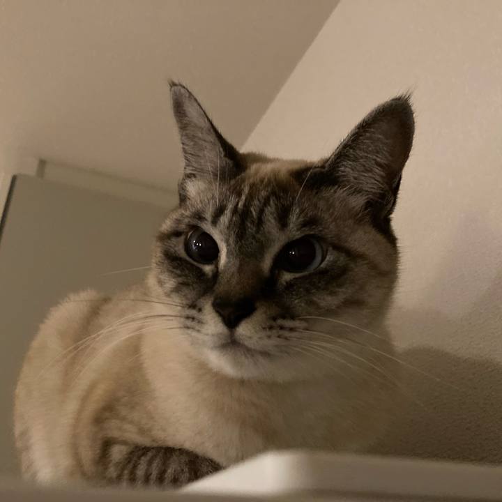 71b58044 f6df 41b1 bf54 940670c74abd 1643112839656