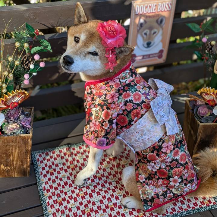 71b59205 28e1 4227 9eff 3eee1f289902 1735739037453