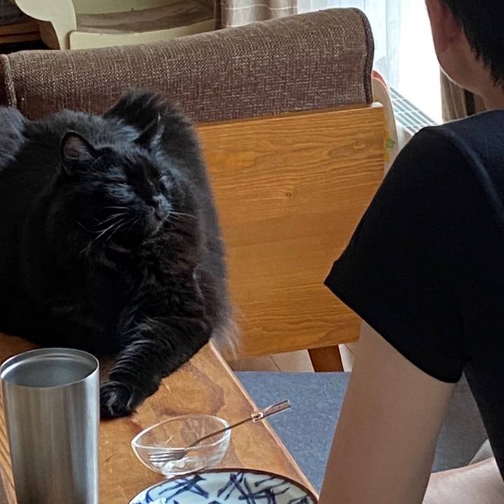 71b5ce4b 101d 4aae b199 3f55cc10da31 1631934043939