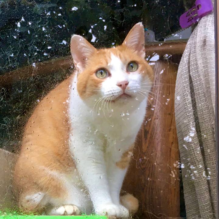 71b5f4ab 56c7 422f a9d7 6e506da0ea37 1603229226697