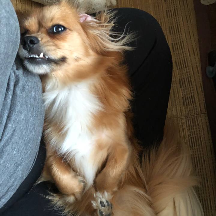 71b61d72 ee7e 4faa 9309 db69b2317d06 1529875567107