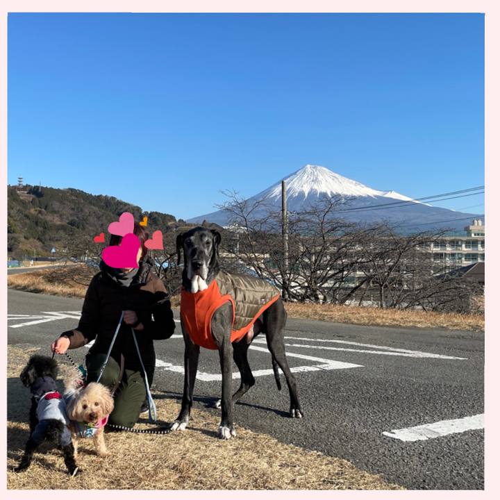 71b68c92 211a 49b7 8062 7085f44d15ca 1612055736510