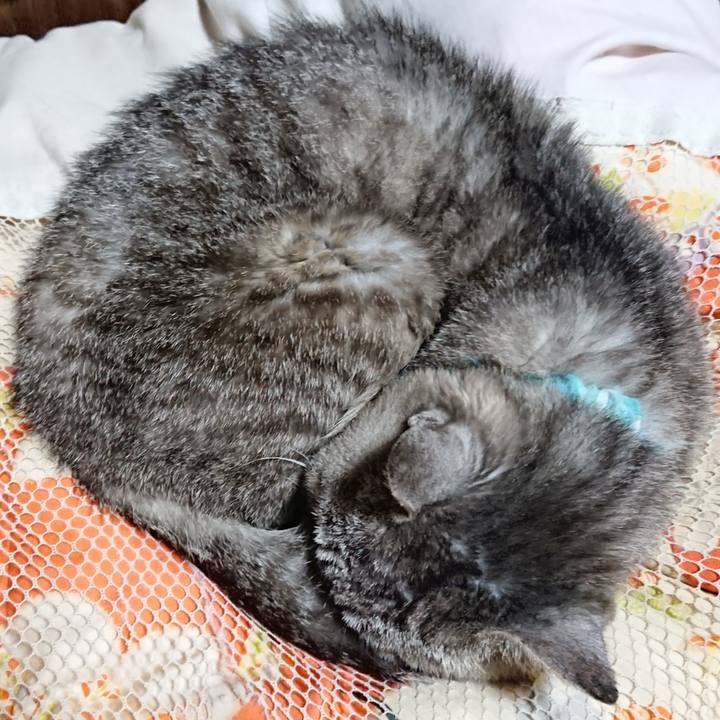 71b6aa6c eeb6 4652 bf05 a651238e3db7 1568898318223