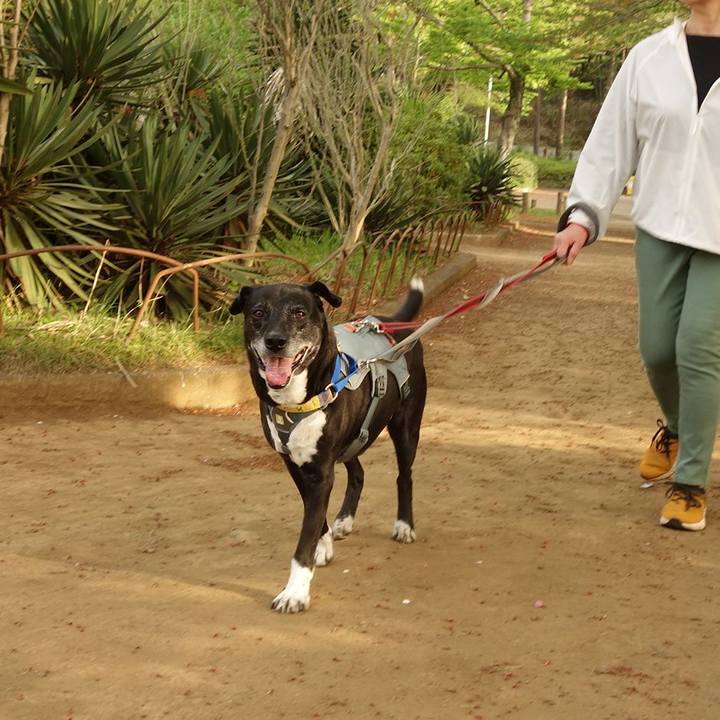 71b6acbc 16d1 47f1 825a 725939727bc0 1745017458300