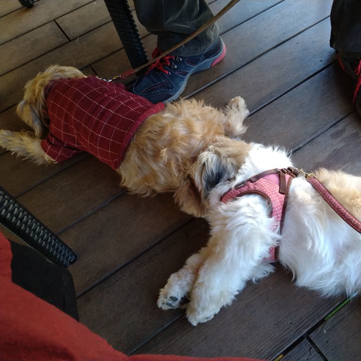 71b6c068 baee 4176 8745 f5cd4b584c17 1604483750336