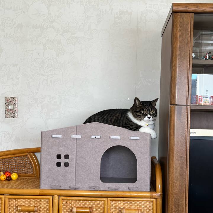 71b6c1da 9e7c 4b8e b1e1 1c751e42e80f 1763336205963