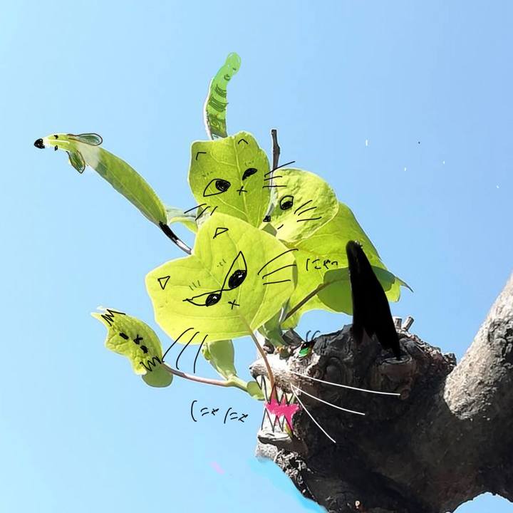 71b6dc2a a5b6 4af2 8017 a4b0f4c443de 1683455097308