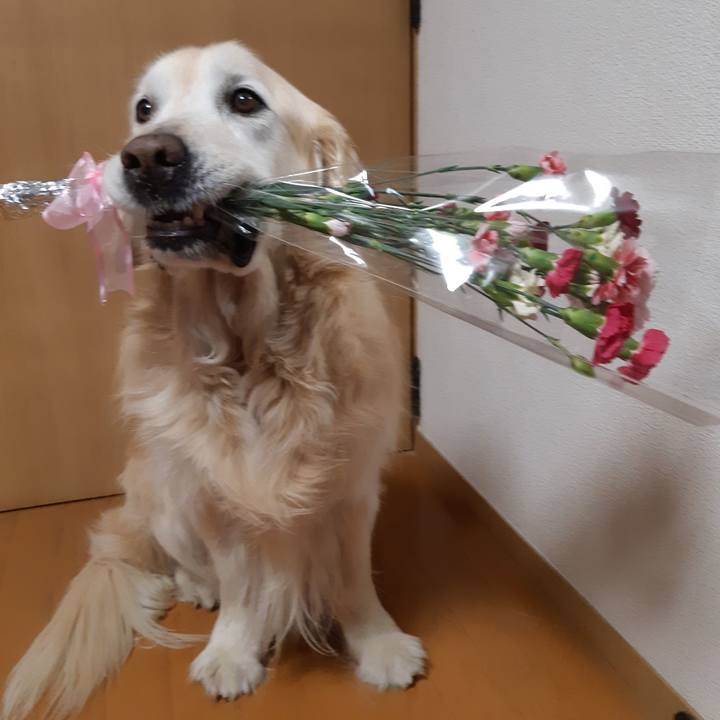 71b6f56d ff29 4325 a612 596bbee49bc6 1558745774134