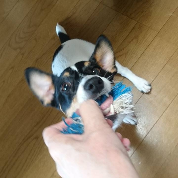 71b731dd 9db3 41f2 a0af 49bc553c830c 1536627084239