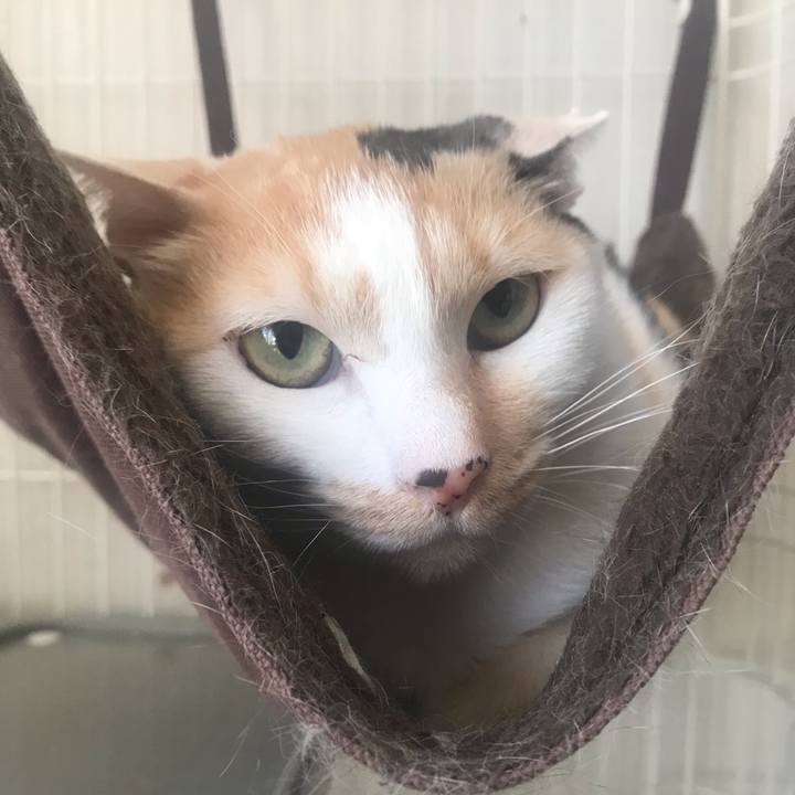 71b73e8b ceda 42d5 85a5 6dd2b9054333 1552344176291