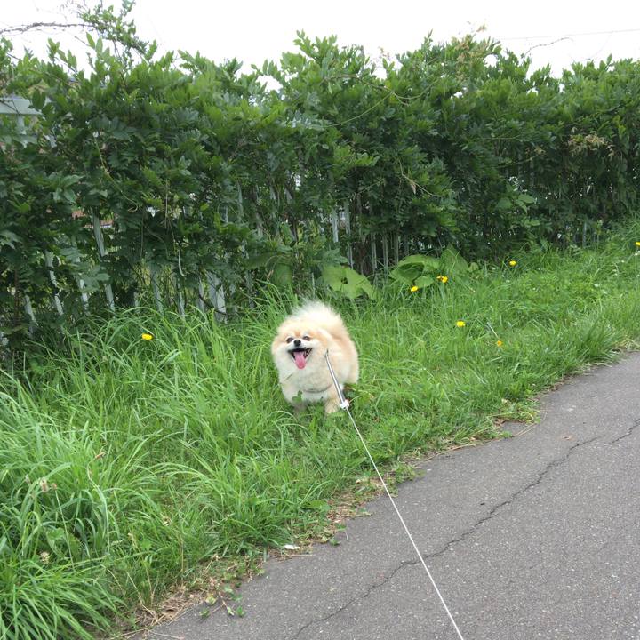 71b741e4 e4eb 4d6d b558 df8bd281342b 1531175295465