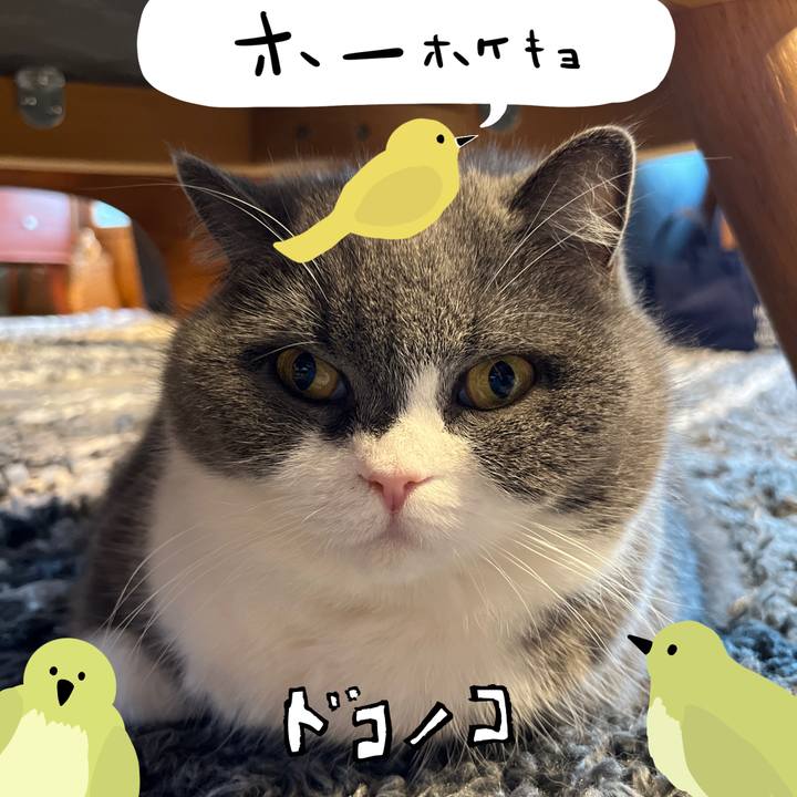 71b74637 320d 48d9 b807 26c812474ff1 1711165221715