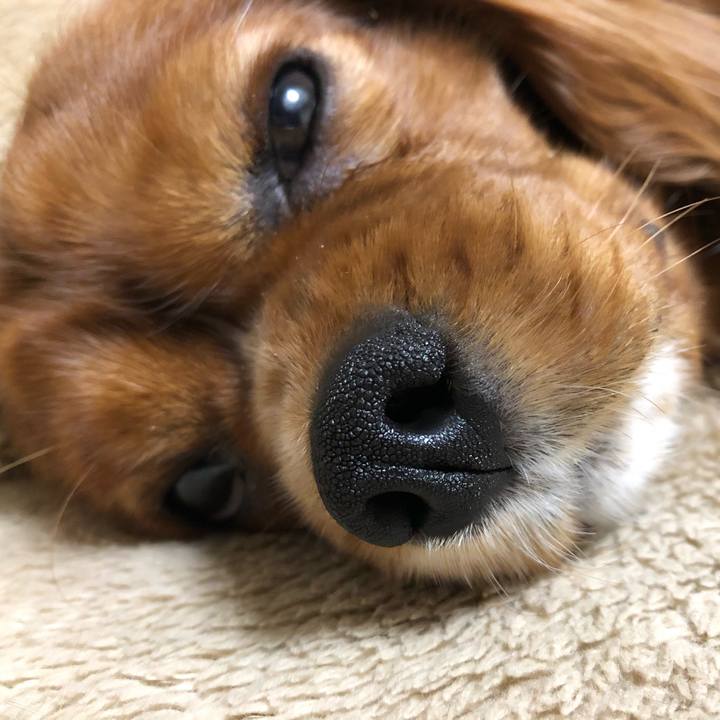 71b76b7c ec29 47ef ba93 1cf6b68b76cb 1553688263902